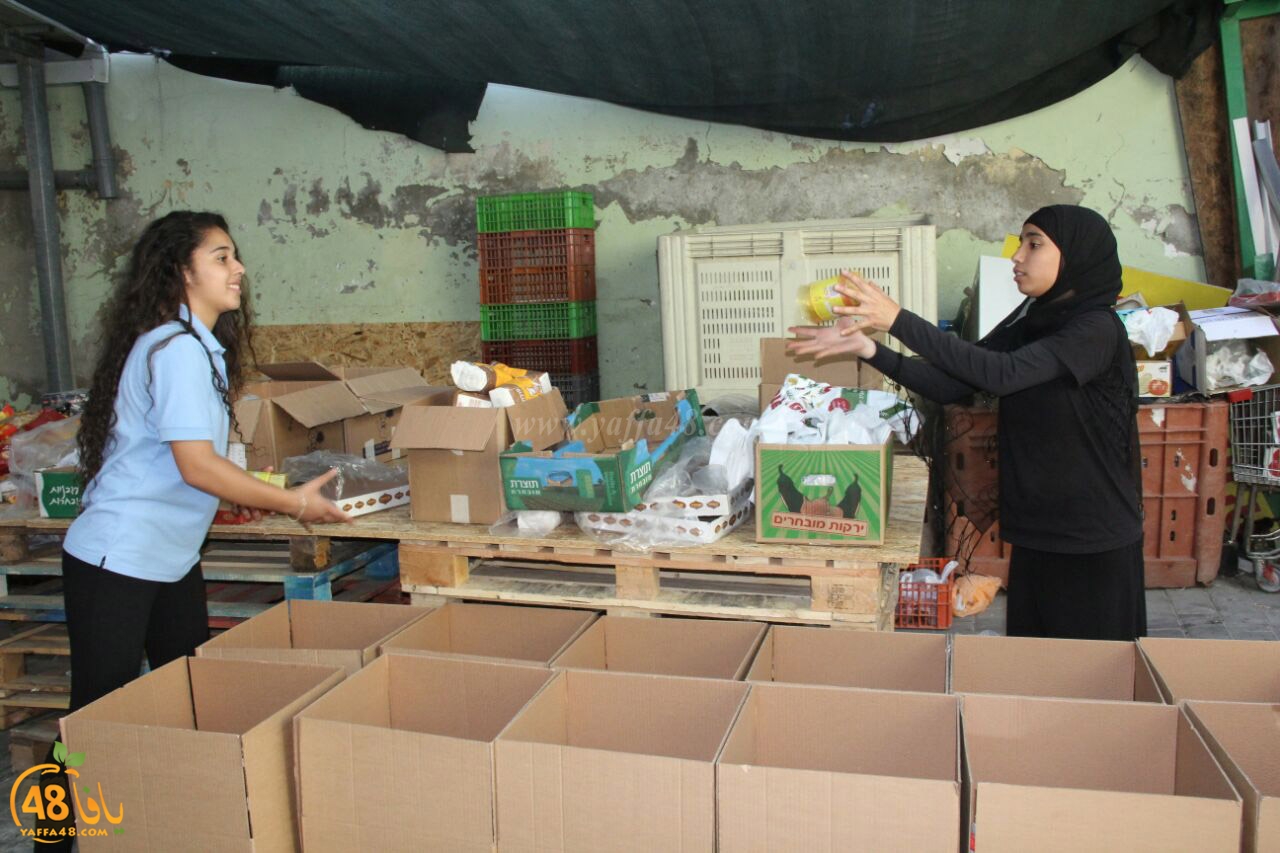 torody second marl7ala (9).jpg